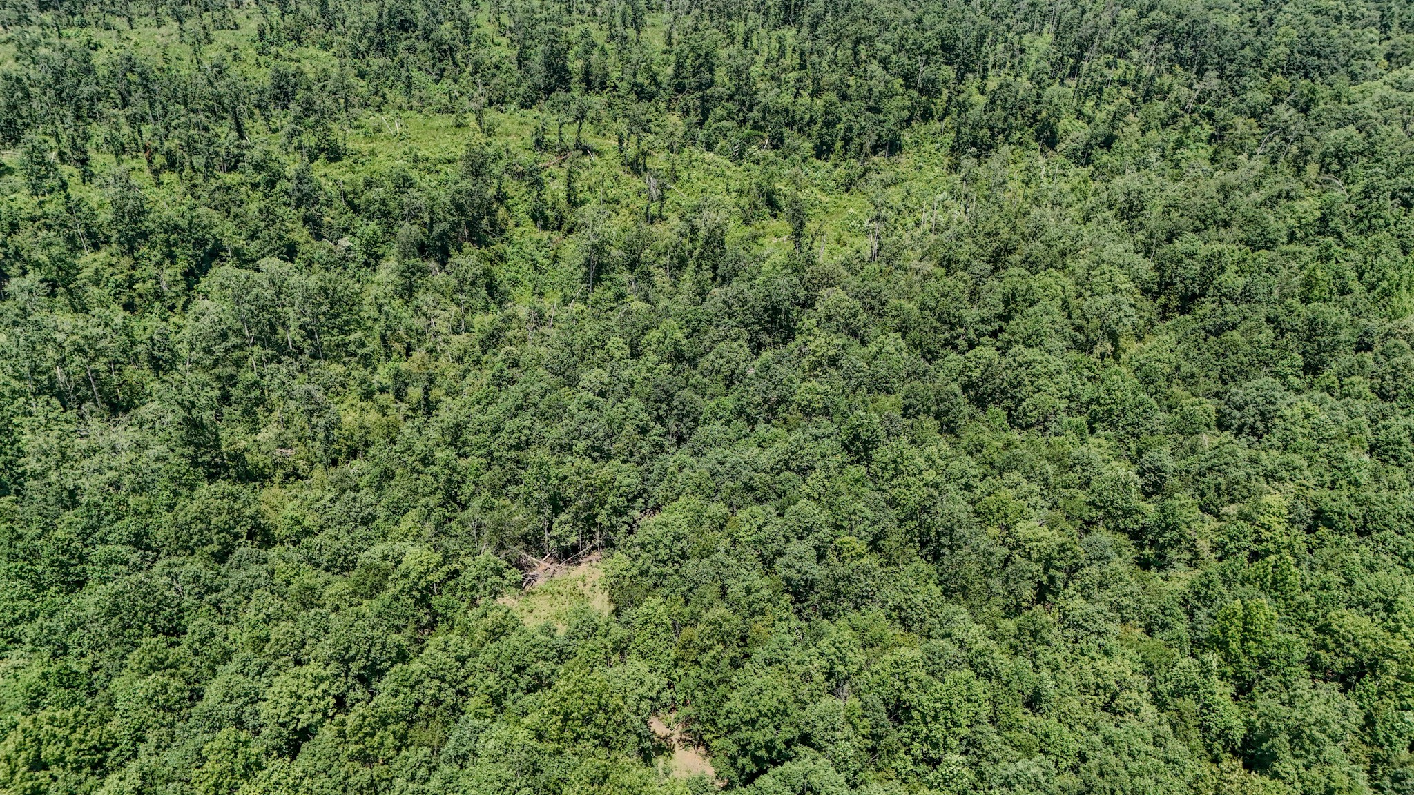 2nd image of 0 Keazy Hollow Rd, Waynesboro, TN 38485 | MLS# 3286026