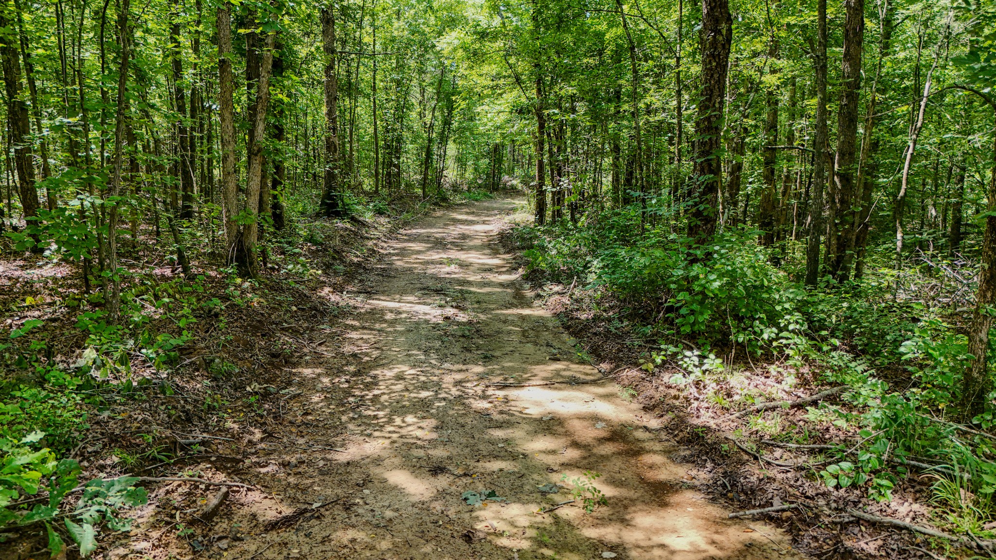 1st image of 0 Keazy Hollow Rd, Waynesboro, TN 38485 | MLS# 3286026
