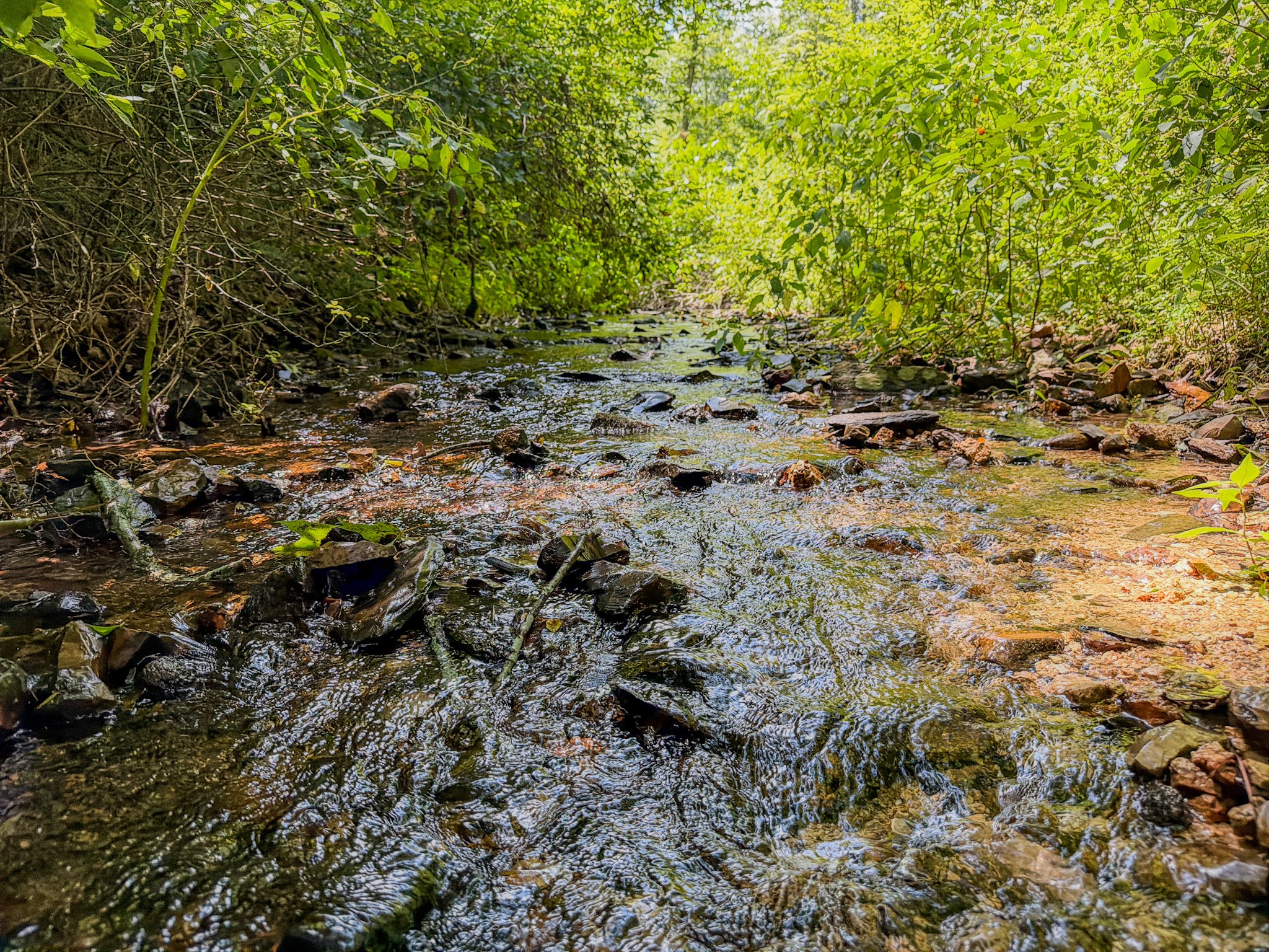 4th image of 0 Keazy Hollow Rd, Waynesboro, TN 38485 | MLS# 3286026