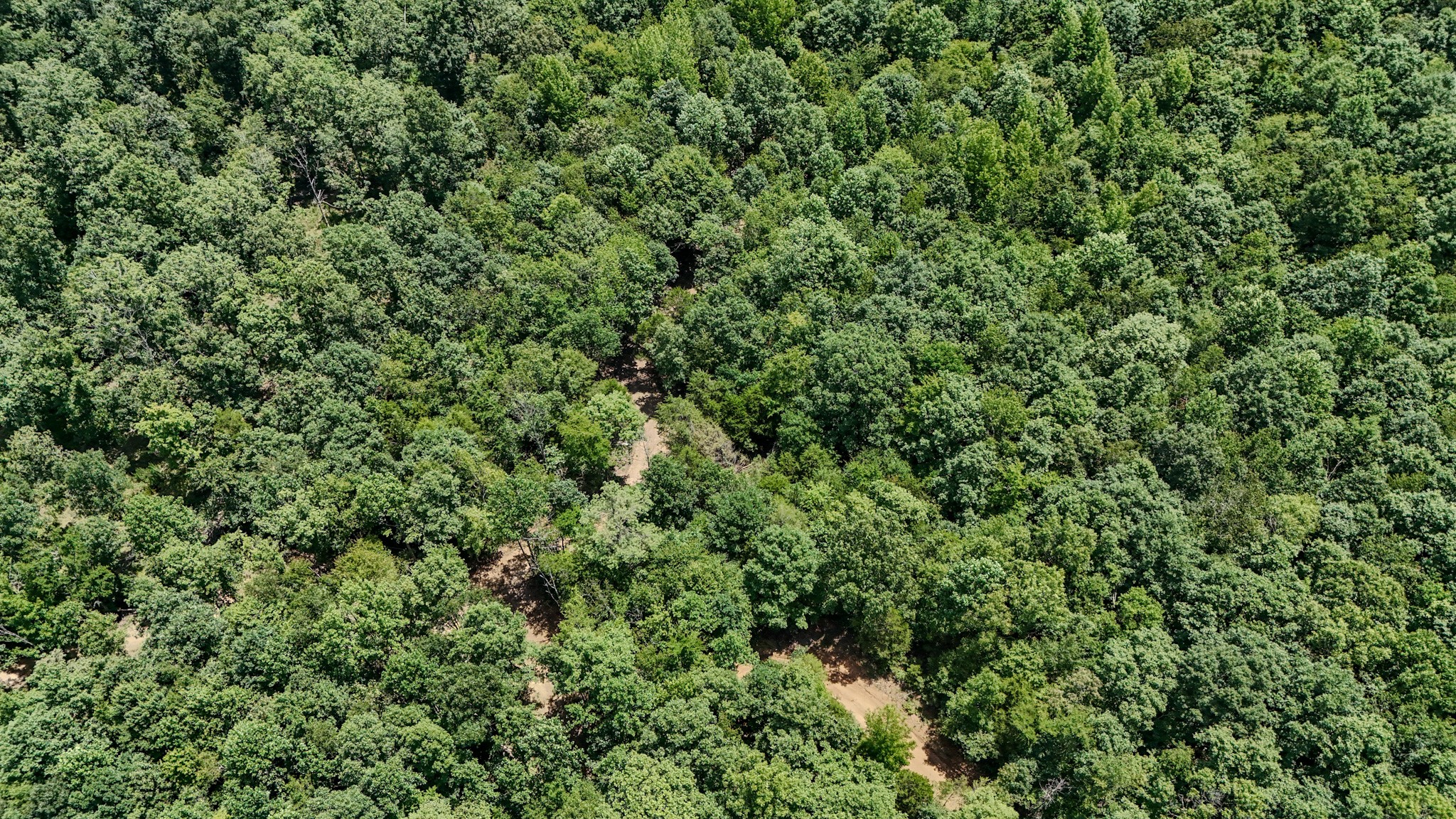 32nd image of 0 Keazy Hollow Rd, Waynesboro, TN 38485 | MLS# 3286026