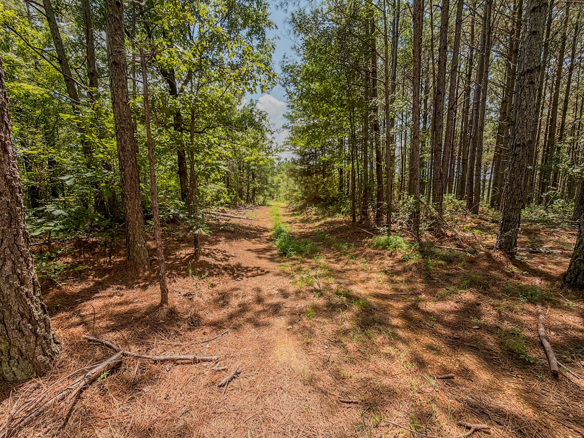 4th image of 0 Big Opossum Creek Rd, Waynesboro, TN 38485 | MLS# 3286146