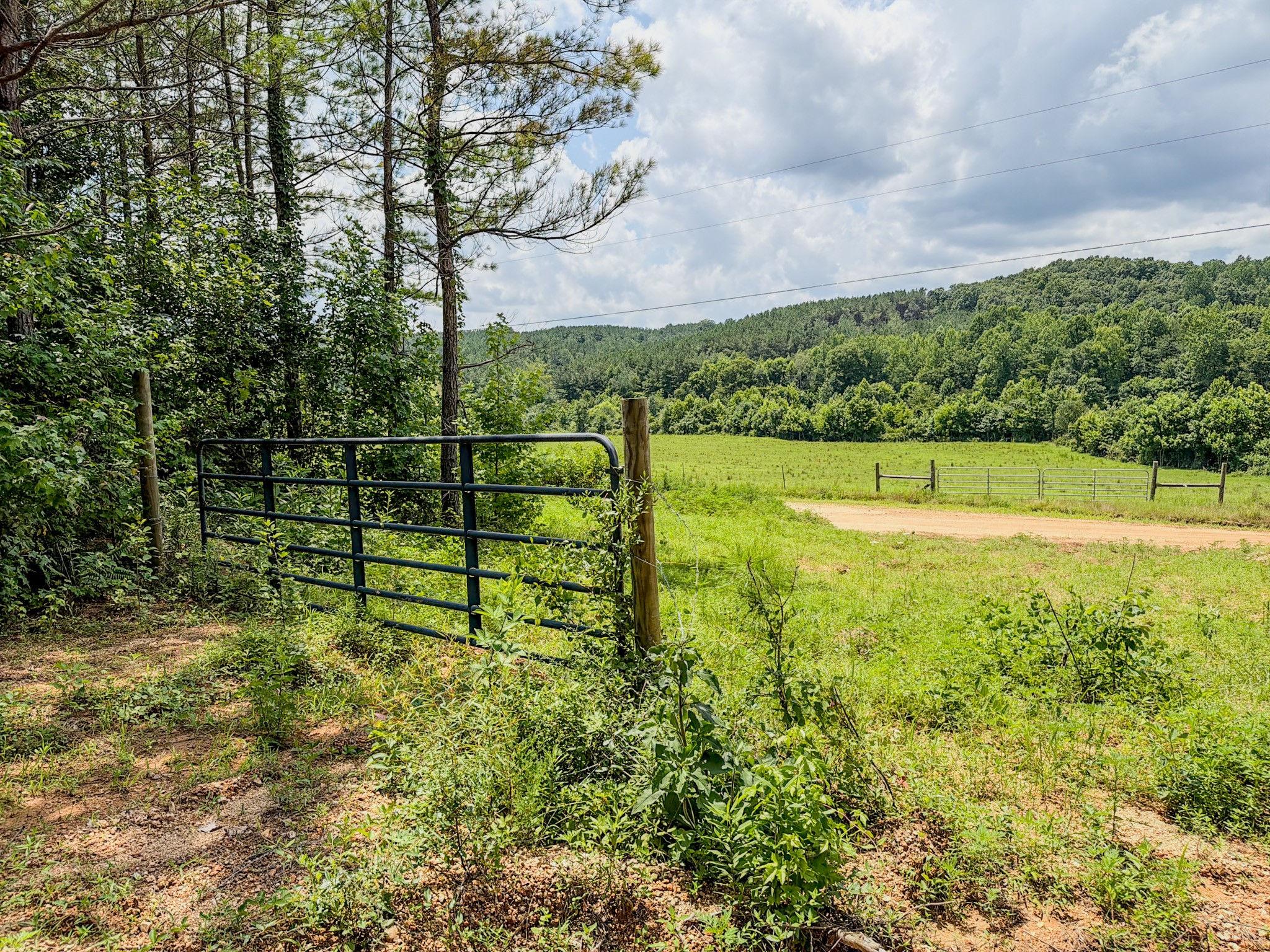 2nd image of 0 Big Opossum Creek Rd, Waynesboro, TN 38485 | MLS# 3286146