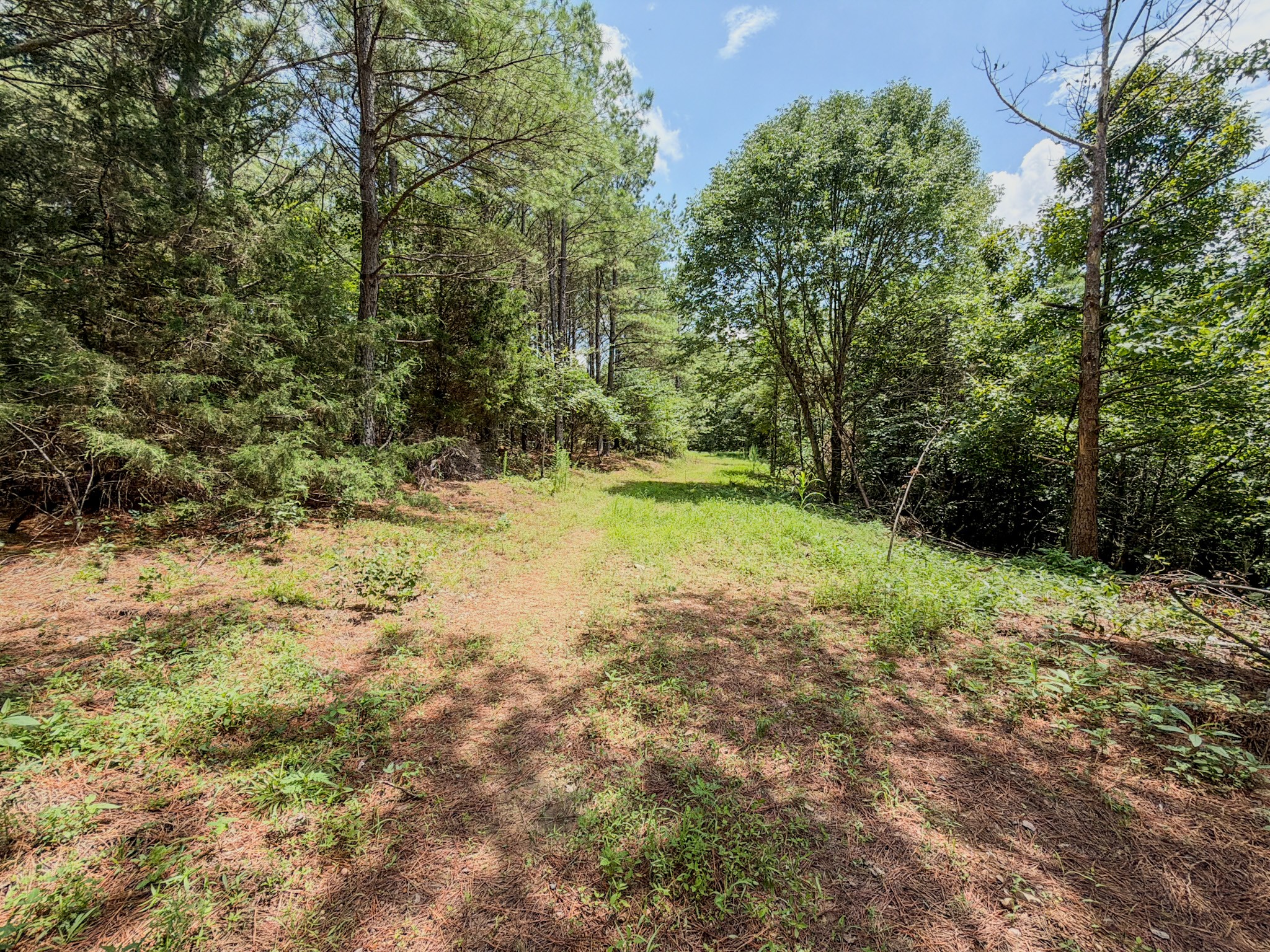 5th image of 0 Big Opossum Creek Rd, Waynesboro, TN 38485 | MLS# 3286146