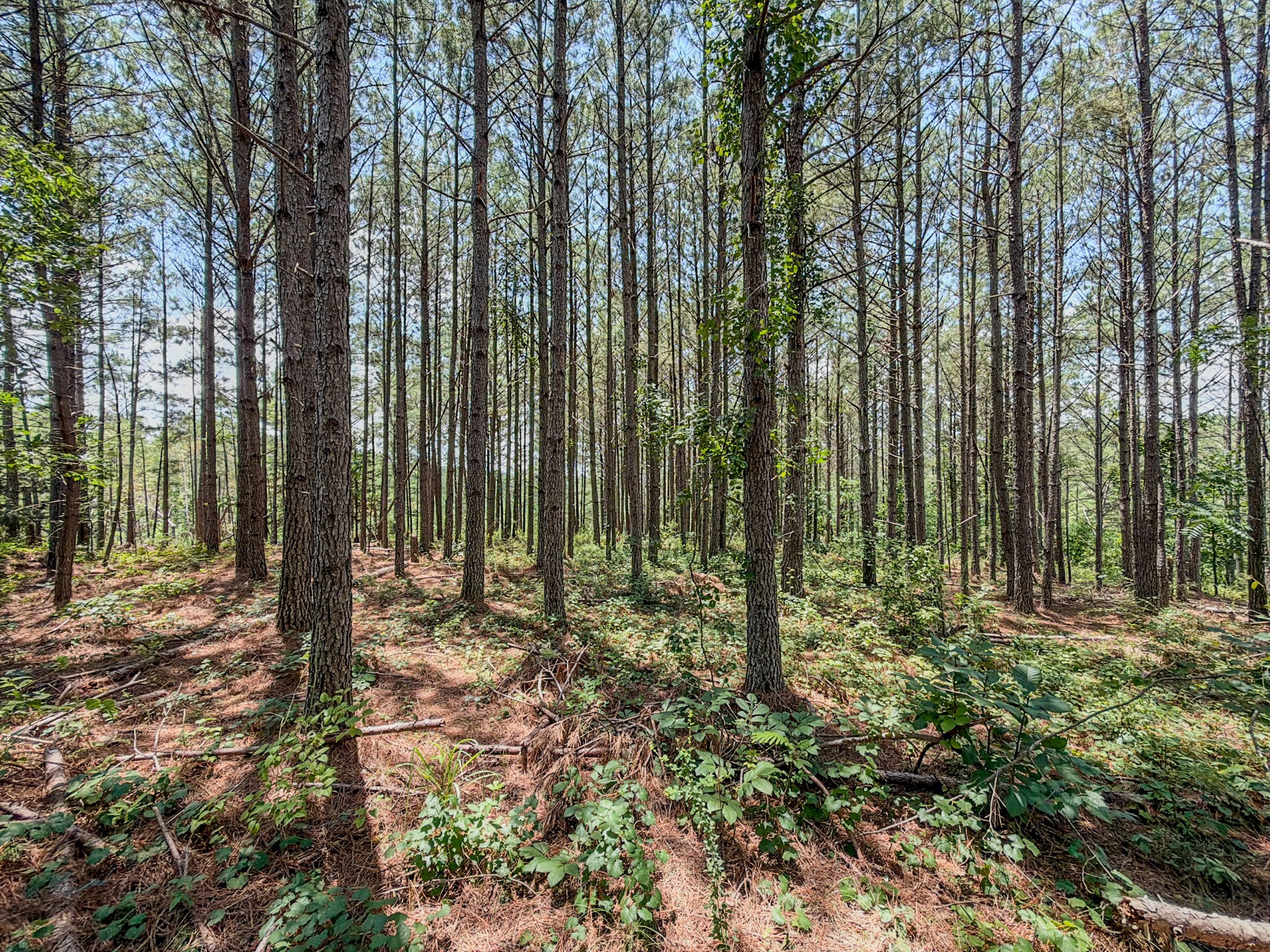 1st image of 0 Big Opossum Creek Rd, Waynesboro, TN 38485 | MLS# 3286146