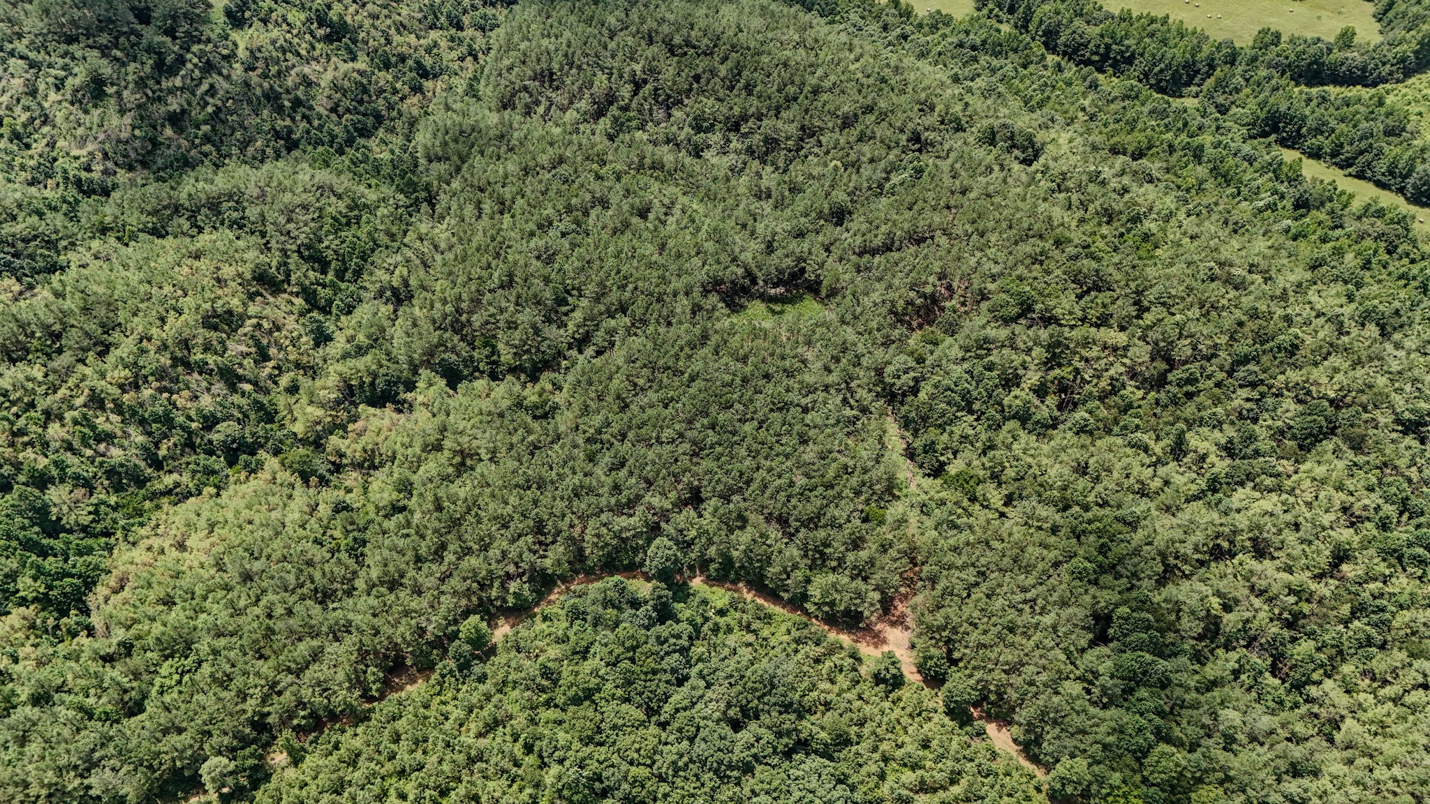 3rd image of 0 Big Opposum Creek Rd, Waynesboro, TN 38485 | MLS# 3288339