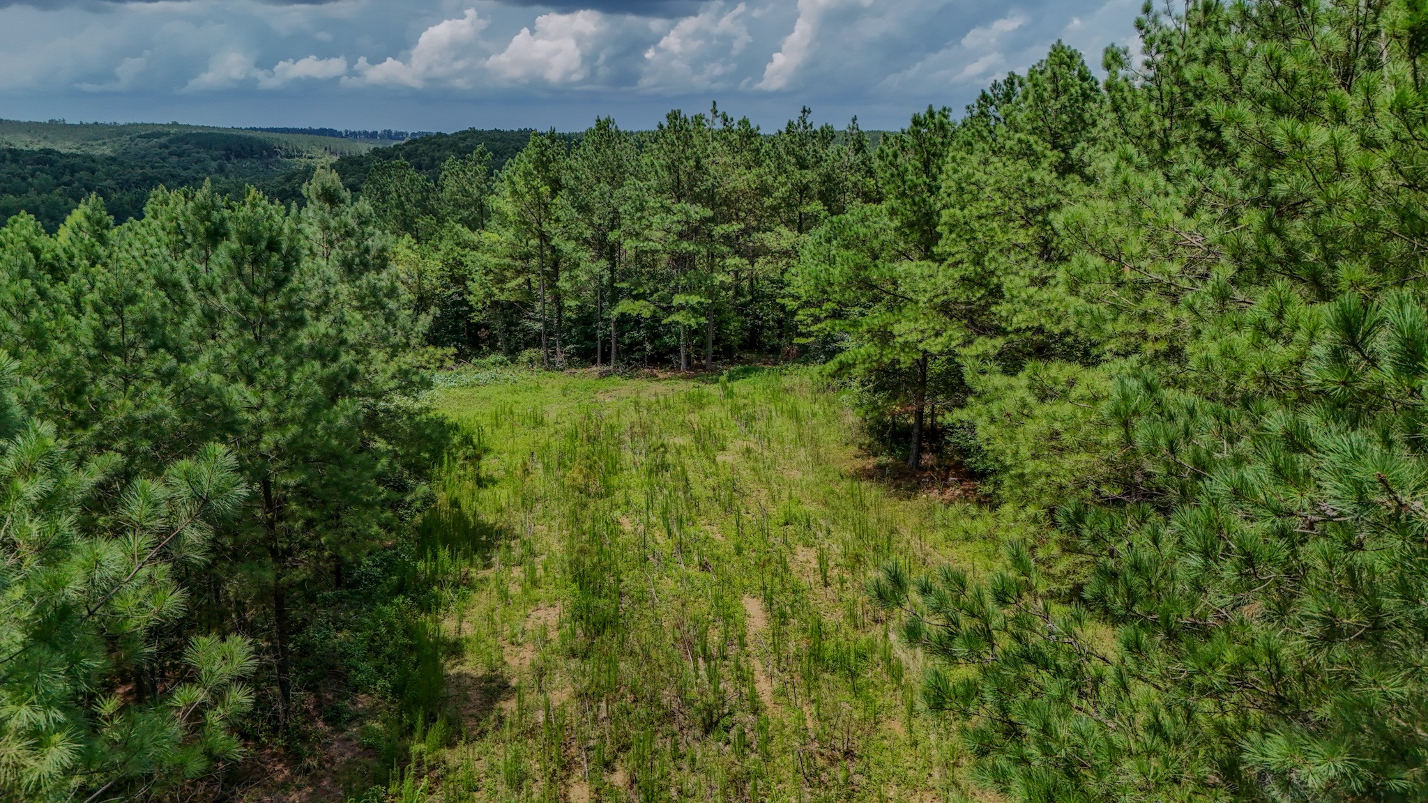 5th image of 0 Big Opposum Creek Rd, Waynesboro, TN 38485 | MLS# 3288339