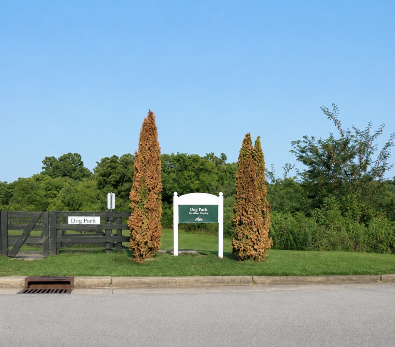 39th image of 820 Goswell Dr, Nolensville, TN 37135 | MLS# 3298131