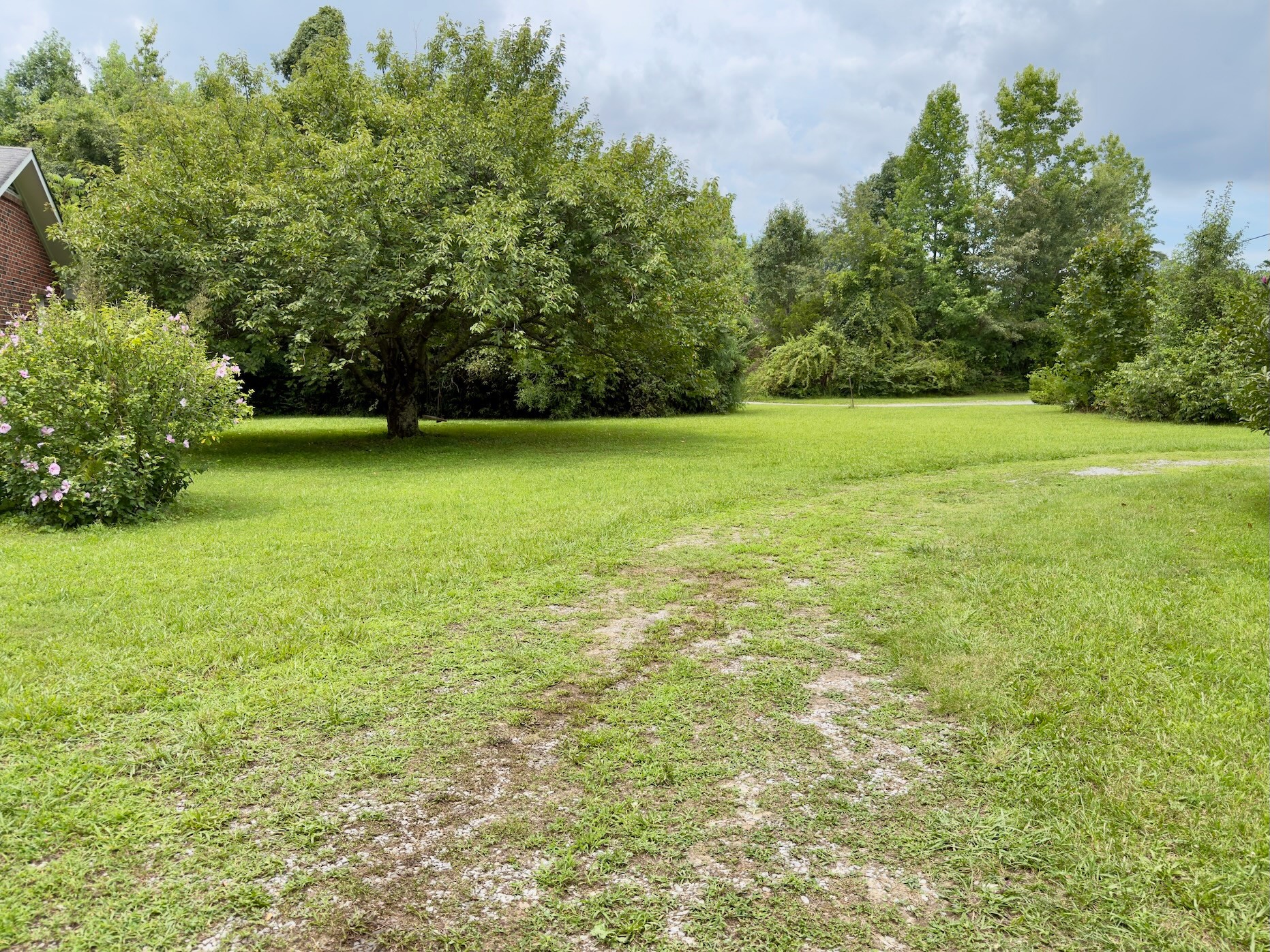 Homes for sale in Woodbury, TN | 804 Todd Rd, Woodbury, TN 37190 | MLS# 3302223