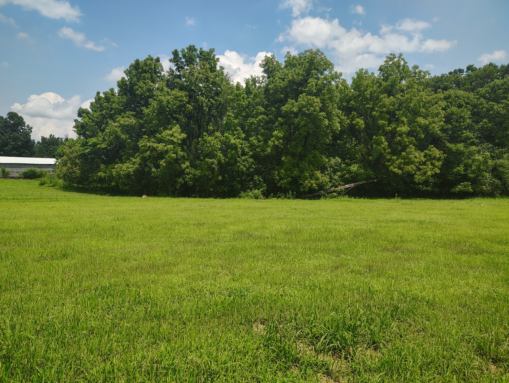 5th image of 1164 Shiloh Road, Lafayette, TN 37083 | MLS# 3304145