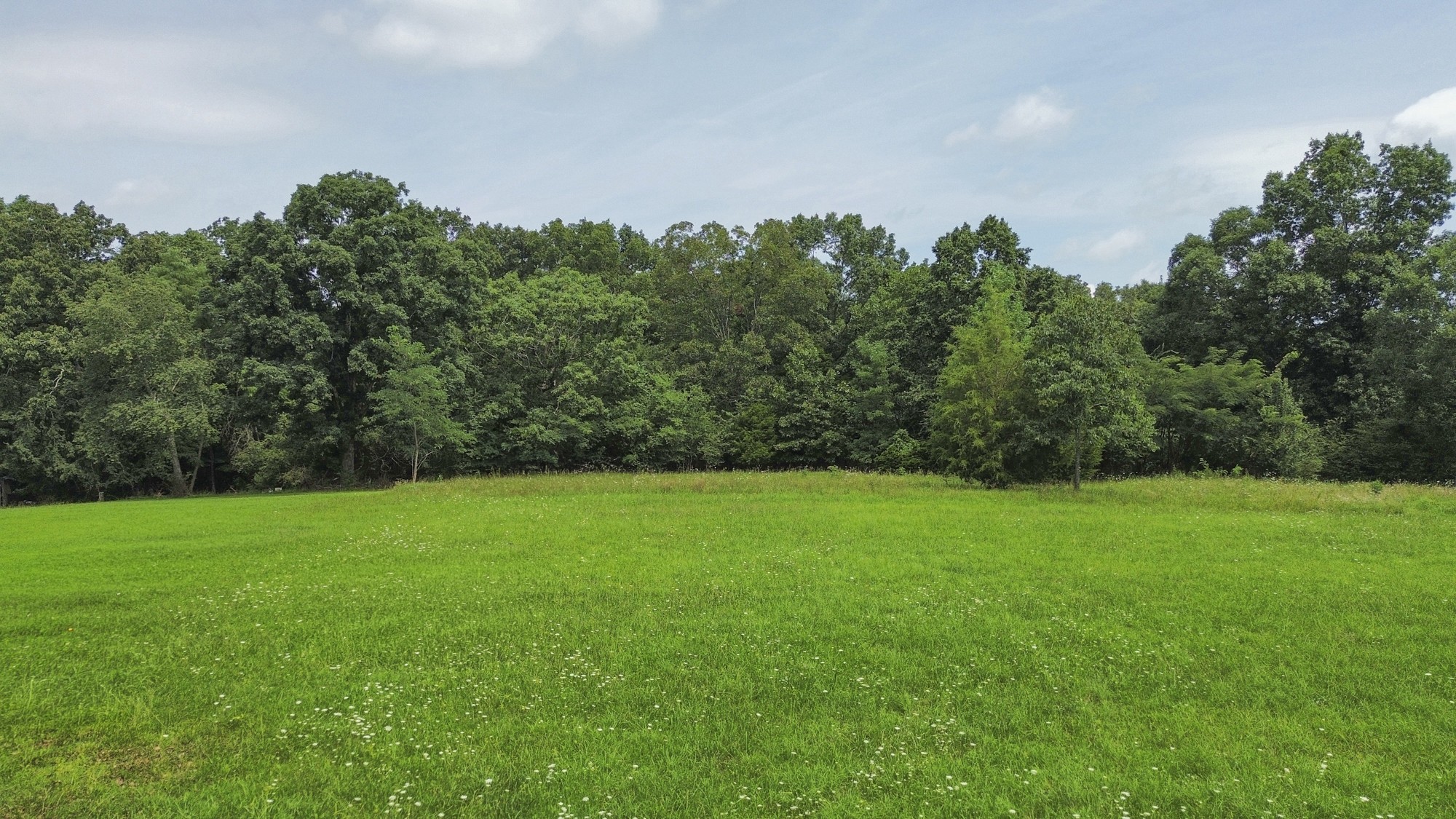 4th image of 0 Savely Road, Pegram, TN 37143 | MLS# 3304282