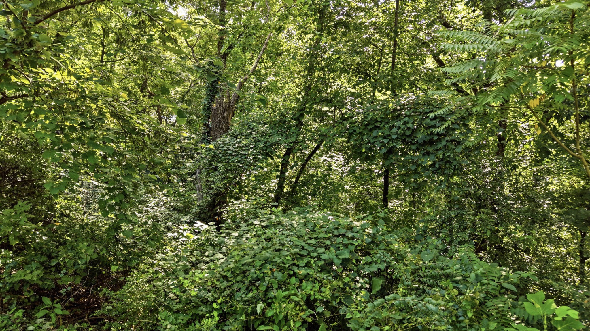 4th image of 1430 Gold Crest Dr, Hixson, TN 37343 | MLS# 3304564