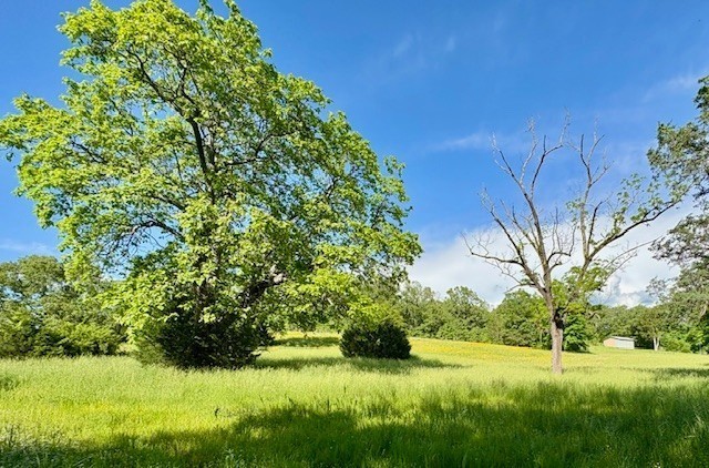 4th image of 1 Topsy Store Rd, Waynesboro, TN 38485 | MLS# 3305645