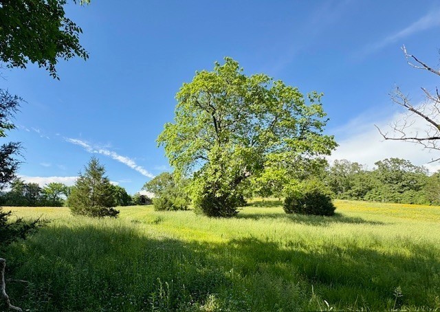 1st image of 1 Topsy Store Rd, Waynesboro, TN 38485 | MLS# 3305645