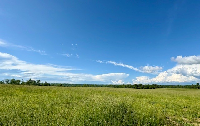 10th image of 1 Topsy Rd, Waynesboro, TN 38485 | MLS# 3305658