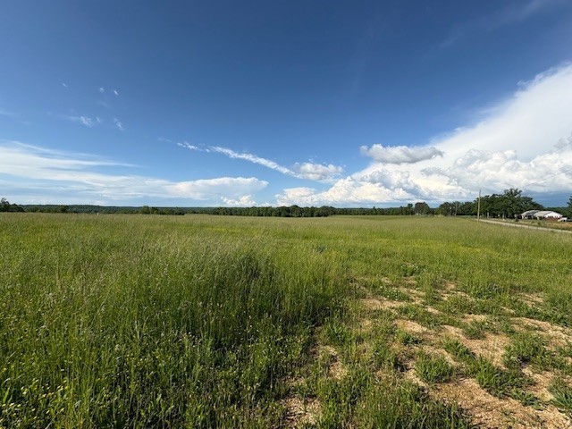 3rd image of 1 Topsy Rd, Waynesboro, TN 38485 | MLS# 3305658
