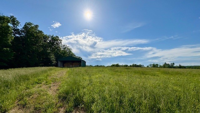 4th image of 1 Topsy Rd, Waynesboro, TN 38485 | MLS# 3305658