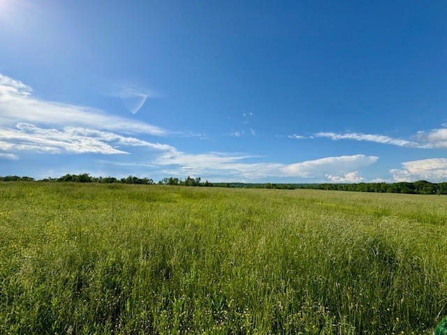 5th image of 1 Topsy Rd, Waynesboro, TN 38485 | MLS# 3305658
