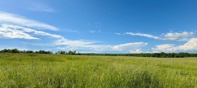1st image of 1 Topsy Rd, Waynesboro, TN 38485 | MLS# 3305658