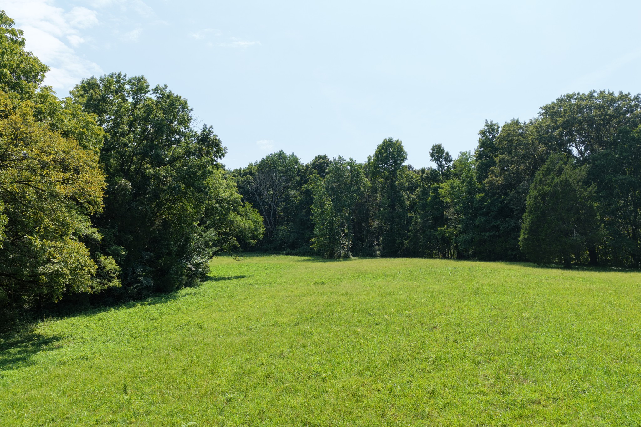 12th image of 0 Webb Rd, Eagleville, TN 37060 | MLS# 3306106