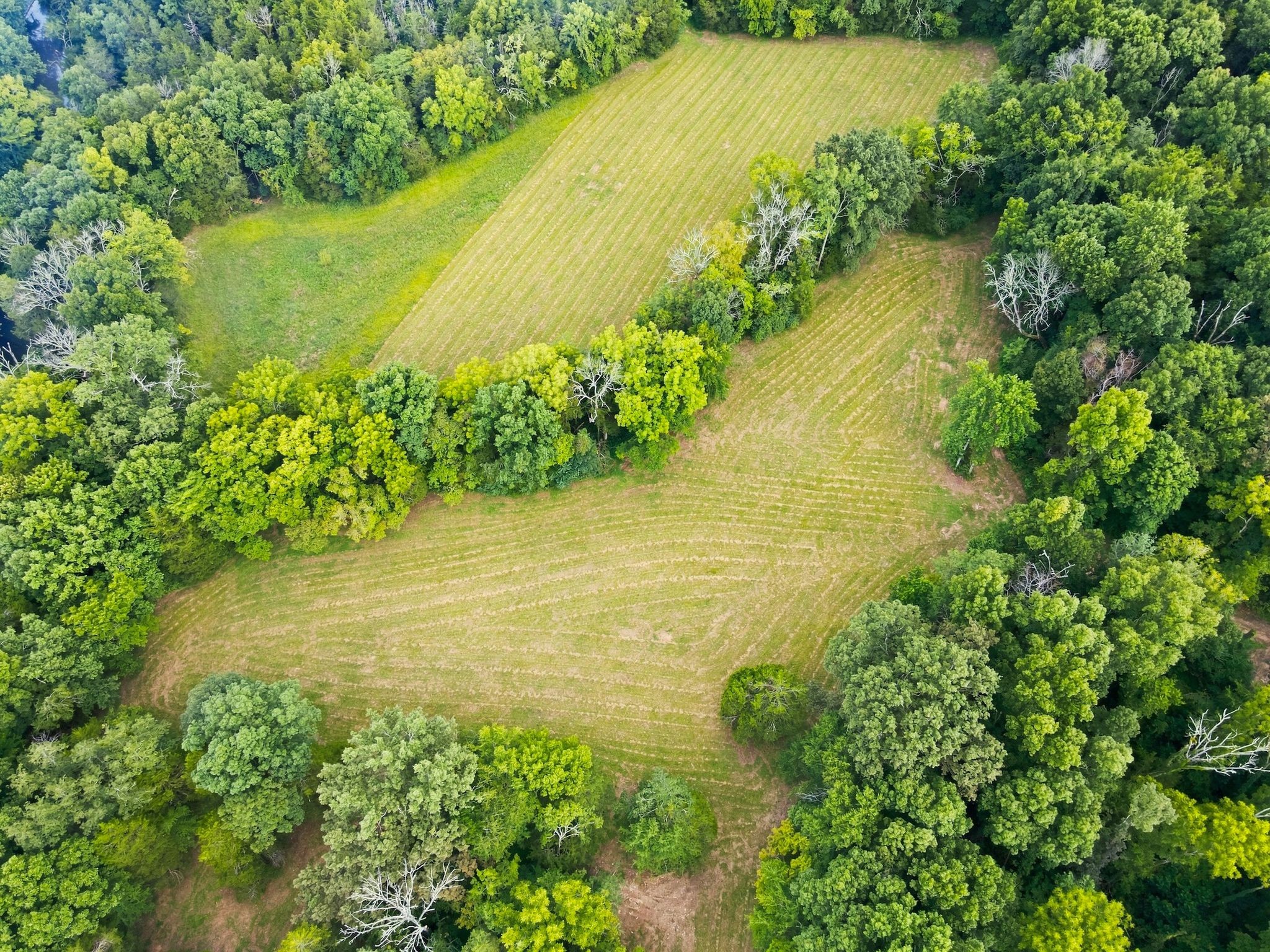 4th image of 0 Webb Rd, Eagleville, TN 37060 | MLS# 3306106