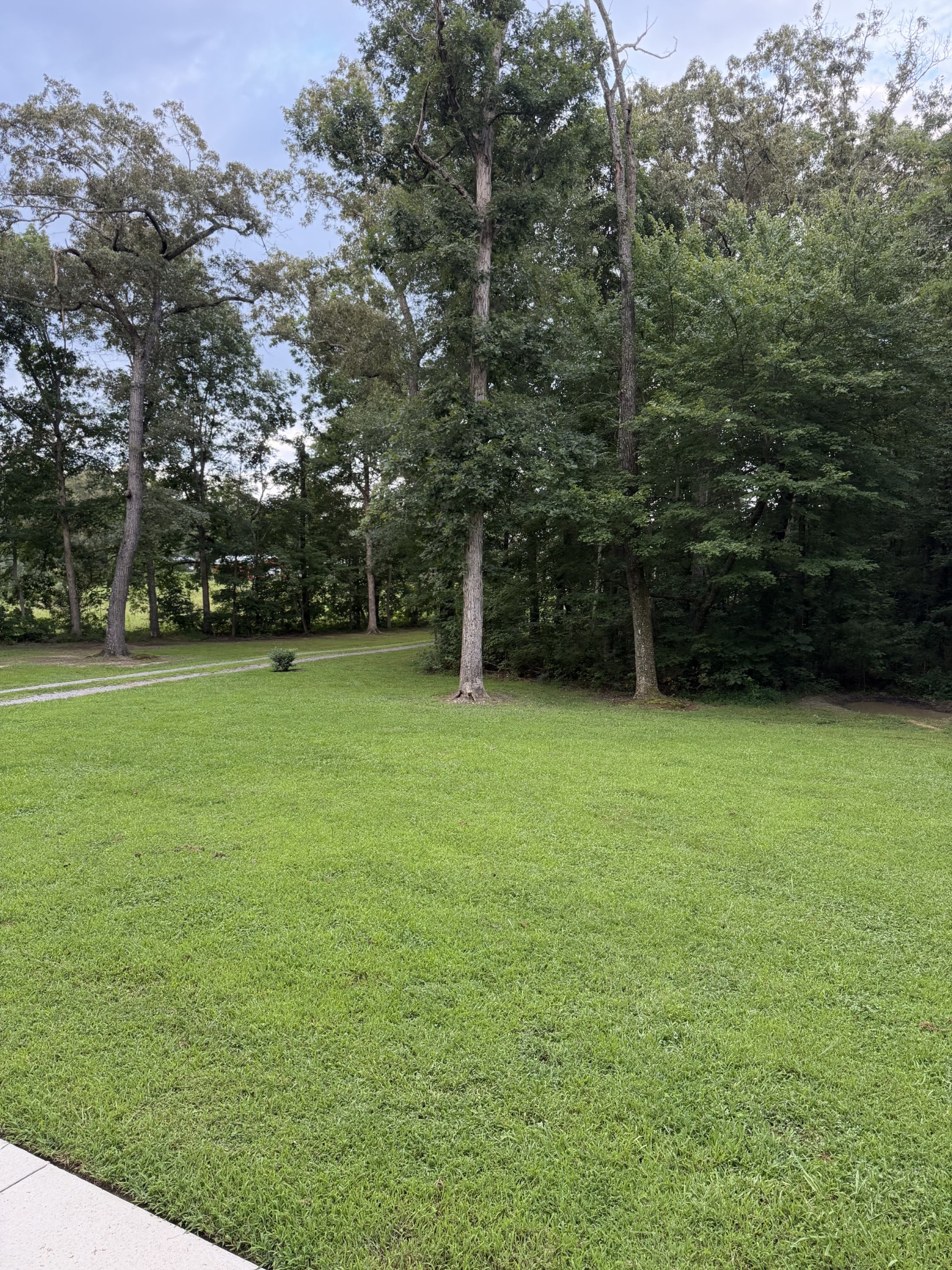 Homes for sale in Woodbury, TN | 545 Carole Anne Dr, Woodbury, TN 37190 | MLS# 3306288