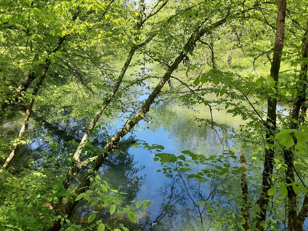 4th image of 222 Cook Hollow Ln, Pleasant Shade, TN 37145 | MLS# 3306429