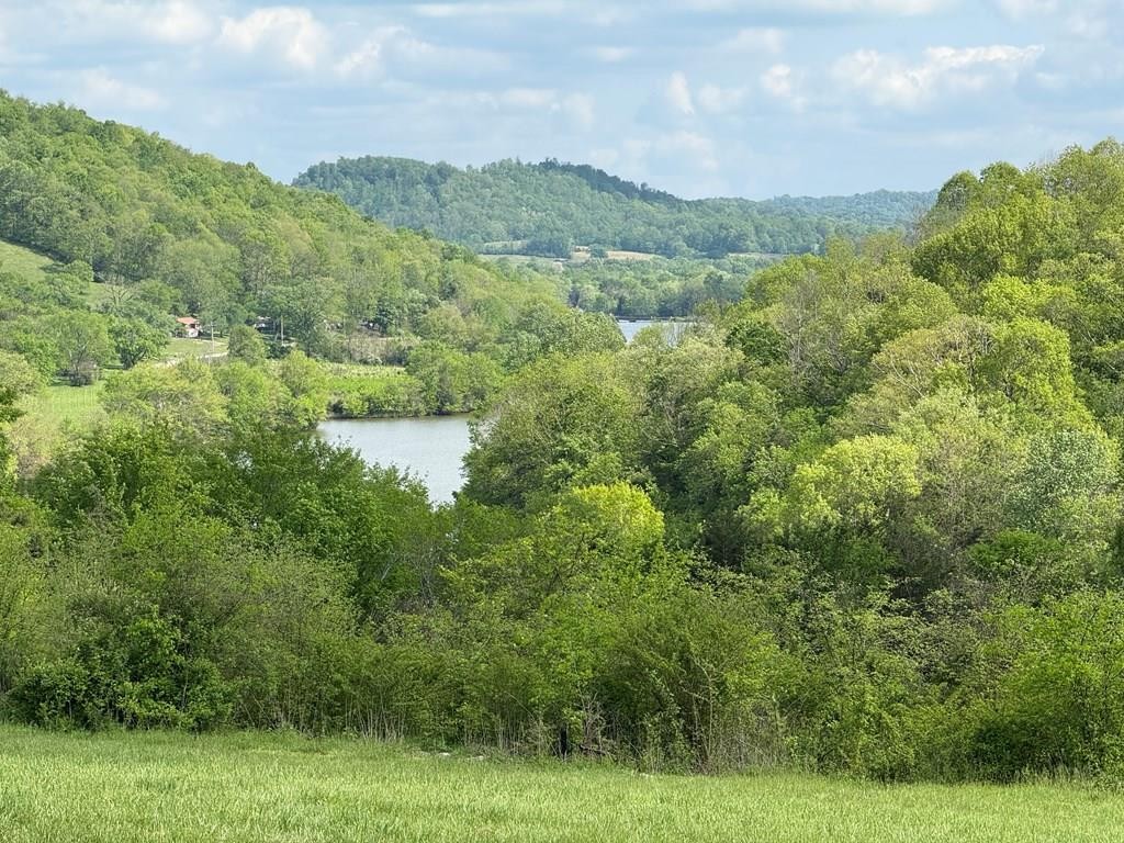 1st image of 222 Cook Hollow Ln, Pleasant Shade, TN 37145 | MLS# 3306429