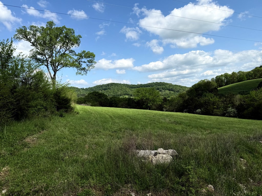 5th image of 222 Cook Hollow Ln, Pleasant Shade, TN 37145 | MLS# 3306429
