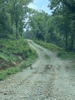 3rd image of 5056 Claiborne Ln, Hartsville, TN 37074 | MLS# 3312337