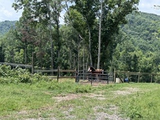 5th image of 5056 Claiborne Ln, Hartsville, TN 37074 | MLS# 3312337