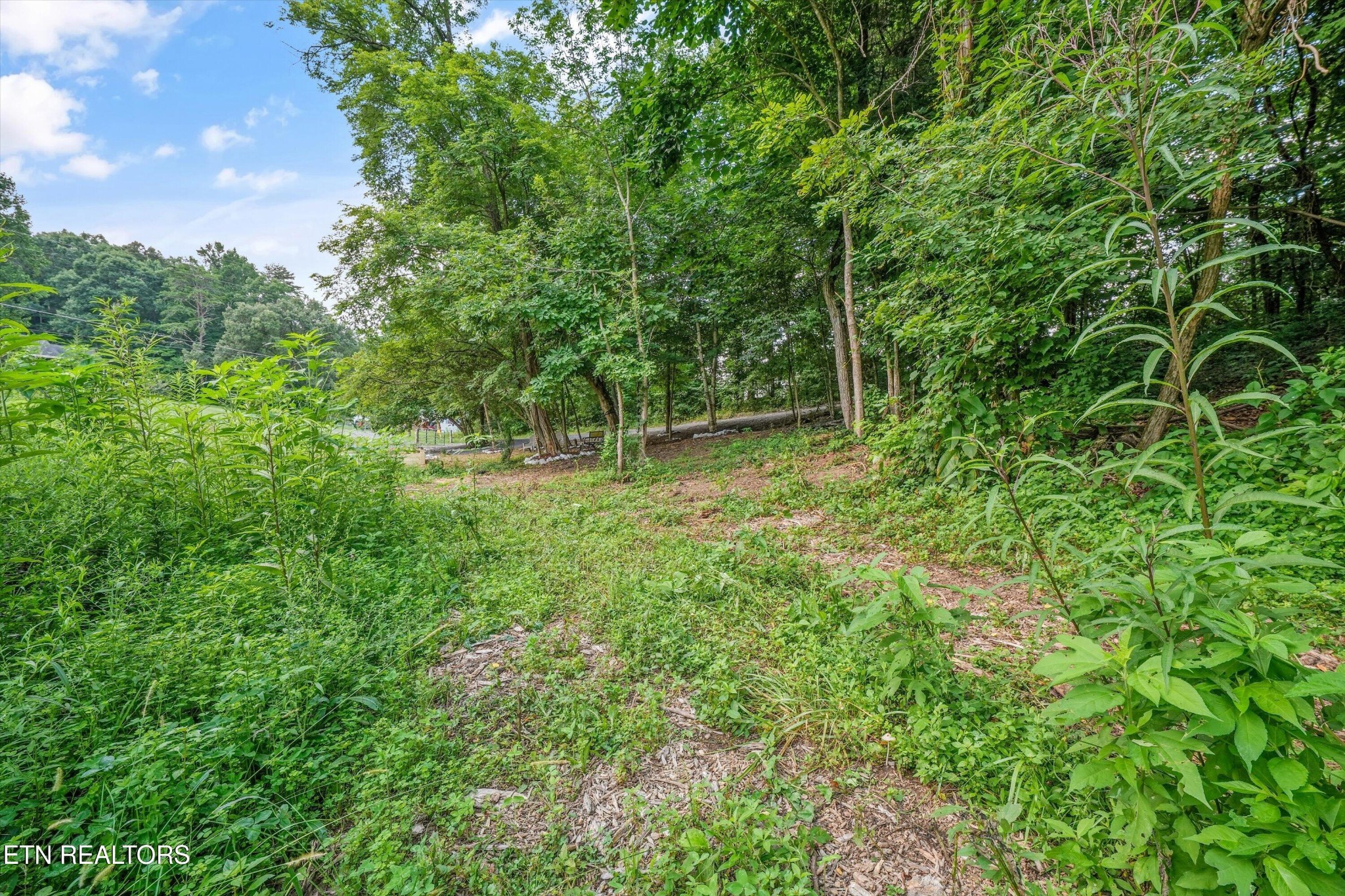 39th image of 233 Hwy 370, Luttrell, TN 37779 | MLS# 3312196