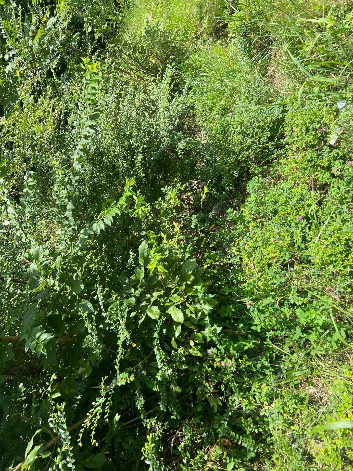4th image of 45 Ramsey Rd, Lebanon, TN 37087 | MLS# 3320542