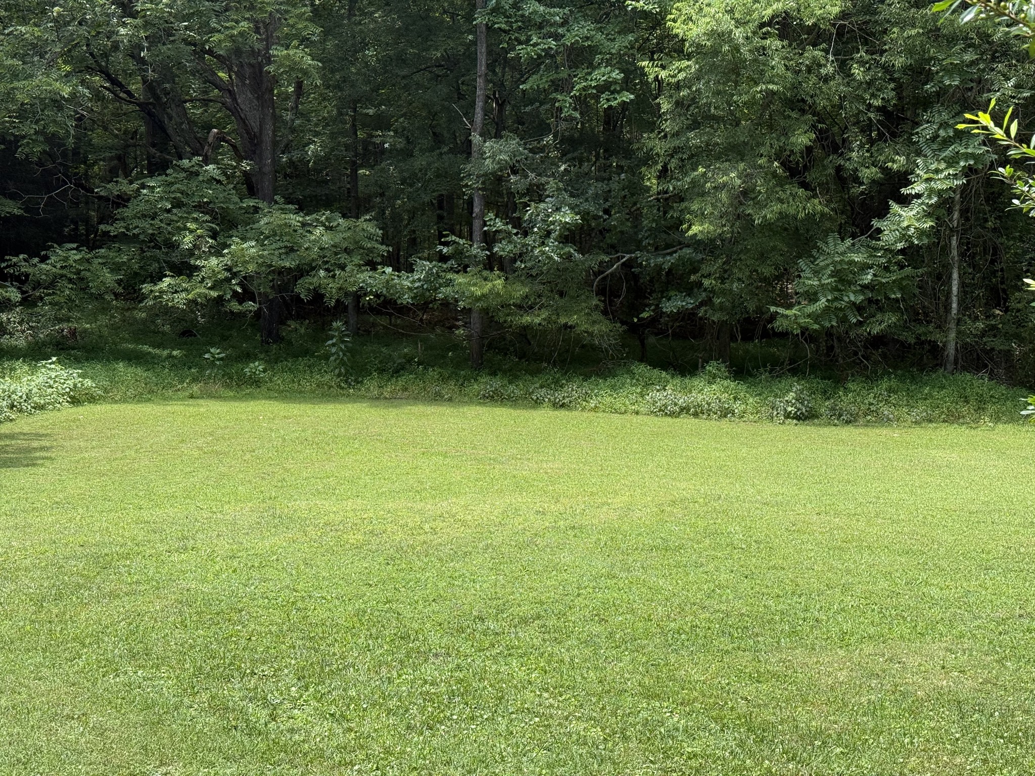 4th image of 12147 Sewanee Hwy, Sewanee, TN 37375 | MLS# 3499813