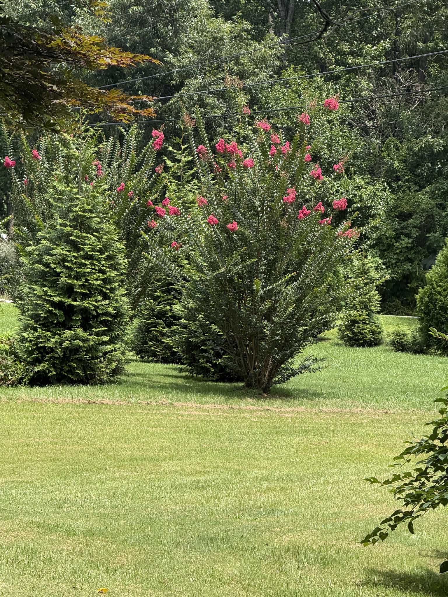3rd image of 12147 Sewanee Hwy, Sewanee, TN 37375 | MLS# 3499813