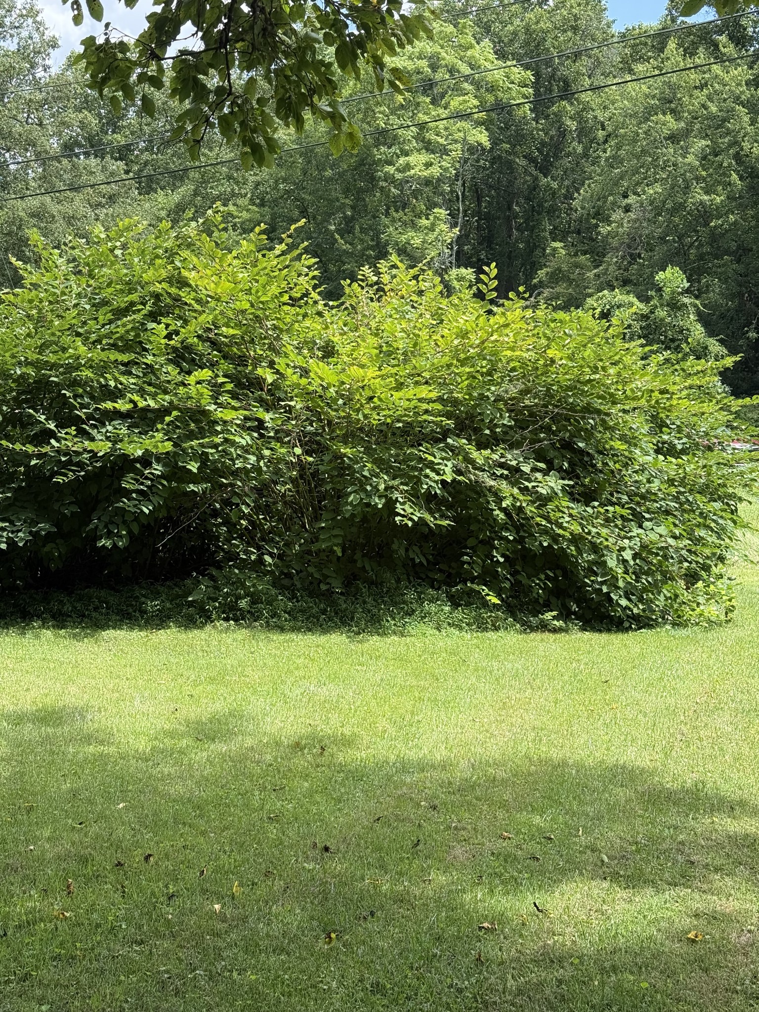 5th image of 12147 Sewanee Hwy, Sewanee, TN 37375 | MLS# 3499813