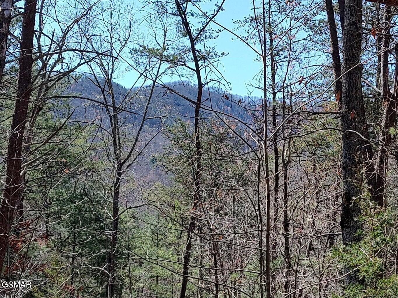 8th image of 10 John Boy Trail, Sevierville, TN 37862 | MLS# 3336351
