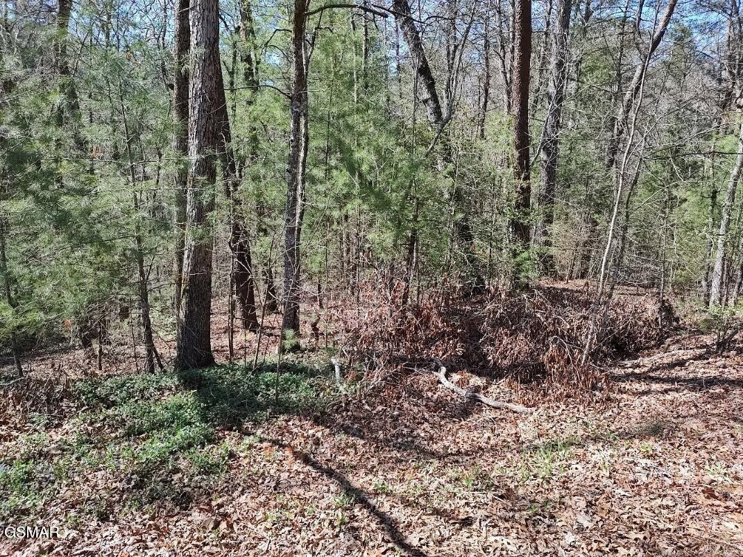 1st image of 10 John Boy Trail, Sevierville, TN 37862 | MLS# 3336351