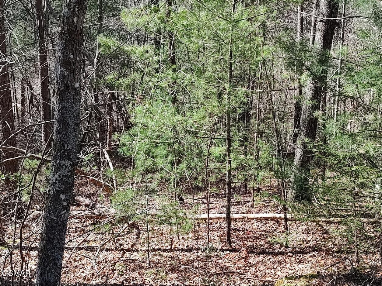5th image of 10 John Boy Trail, Sevierville, TN 37862 | MLS# 3336351