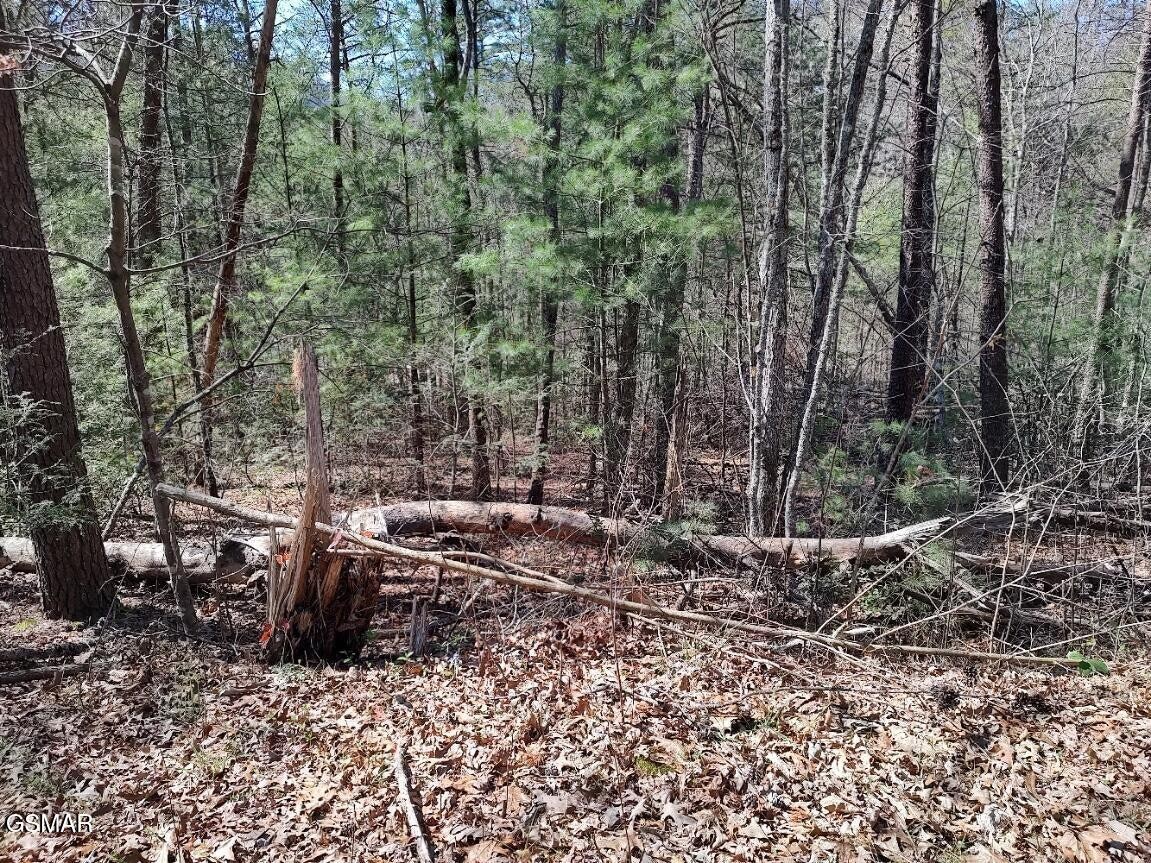 3rd image of 10 John Boy Trail, Sevierville, TN 37862 | MLS# 3336351