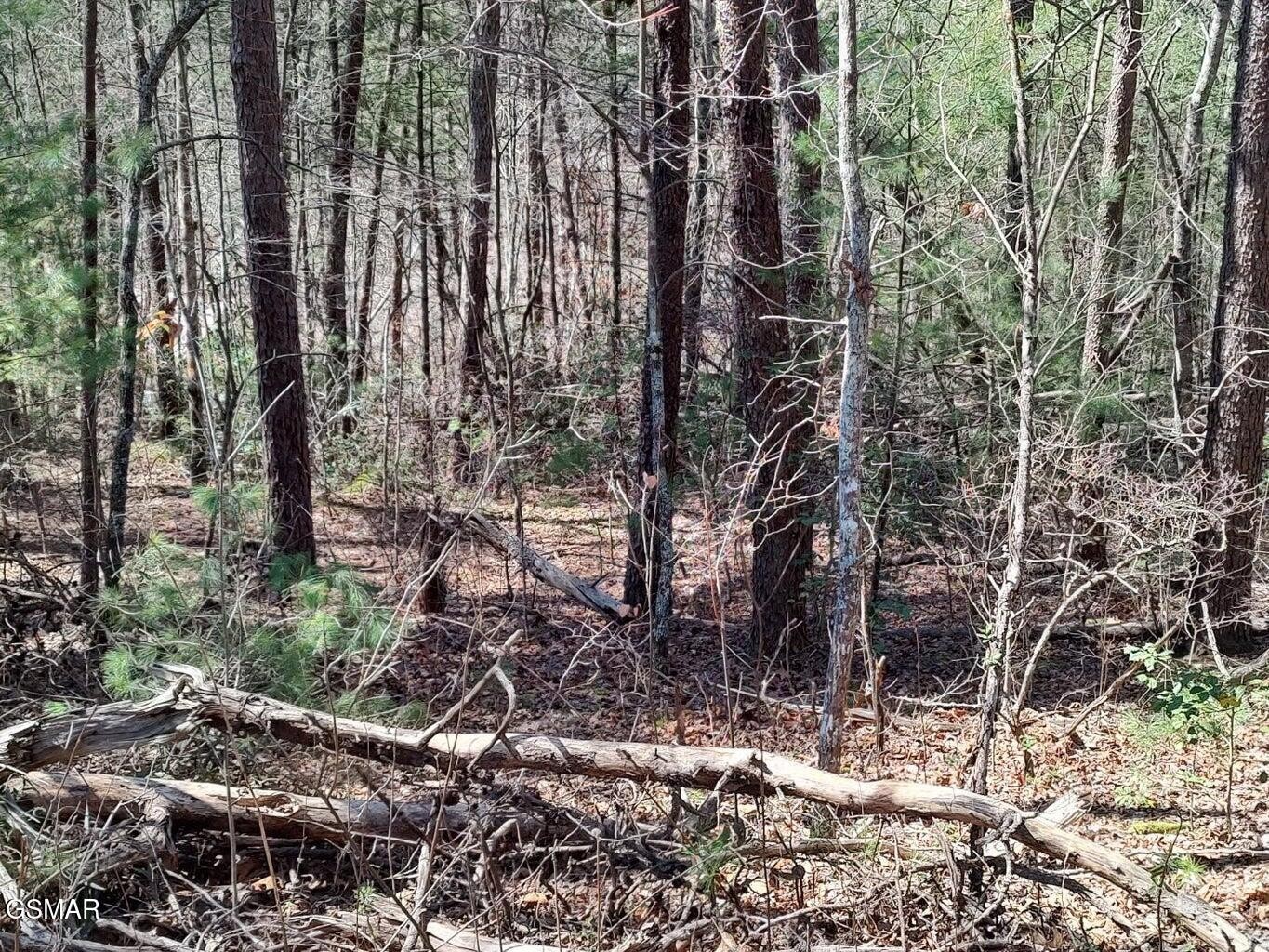 4th image of 10 John Boy Trail, Sevierville, TN 37862 | MLS# 3336351