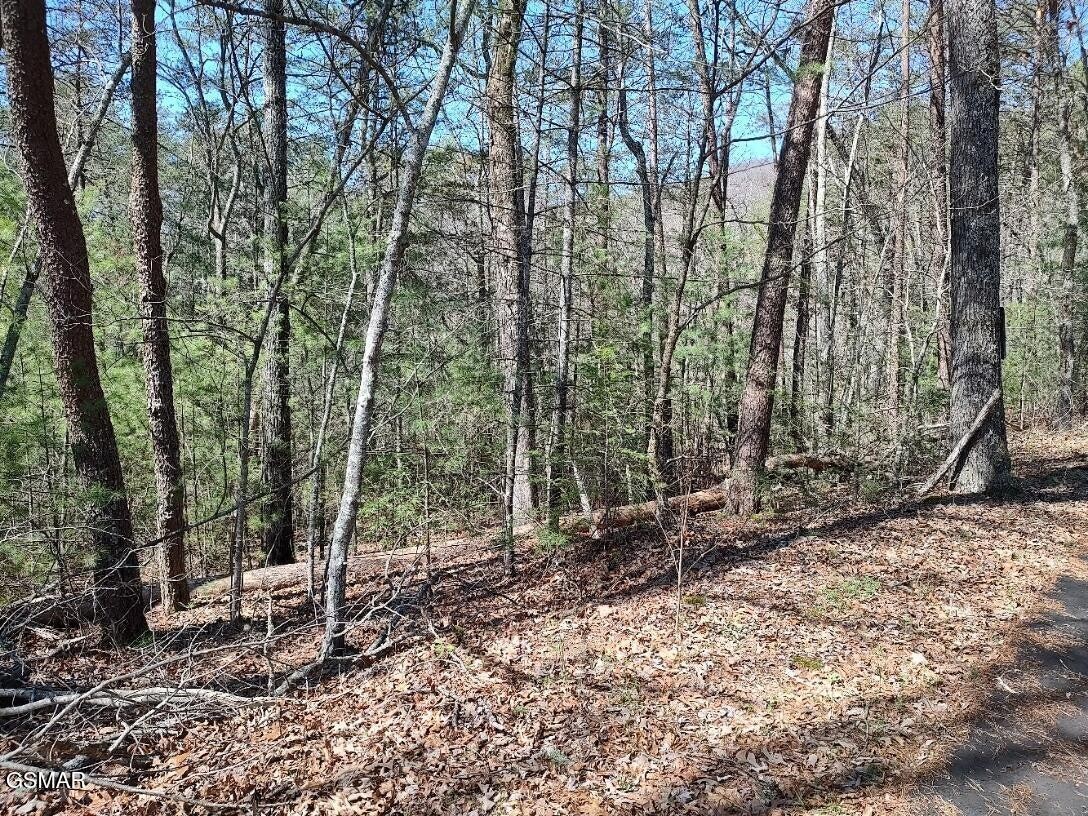 2nd image of 10 John Boy Trail, Sevierville, TN 37862 | MLS# 3336351