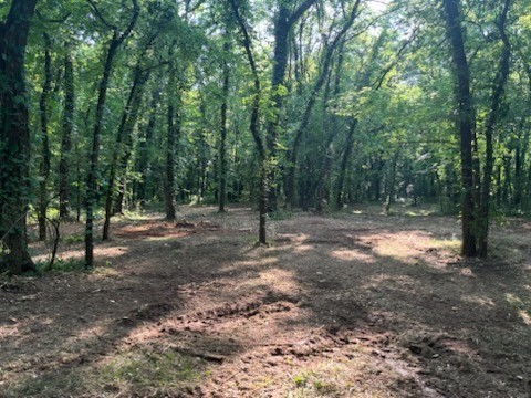 6th image of 0 Old South Rd, Murfreesboro, TN 37128 | MLS# 3499720