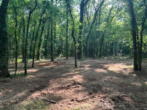 5th image of 0 Old South Rd, Murfreesboro, TN 37128 | MLS# 3499720