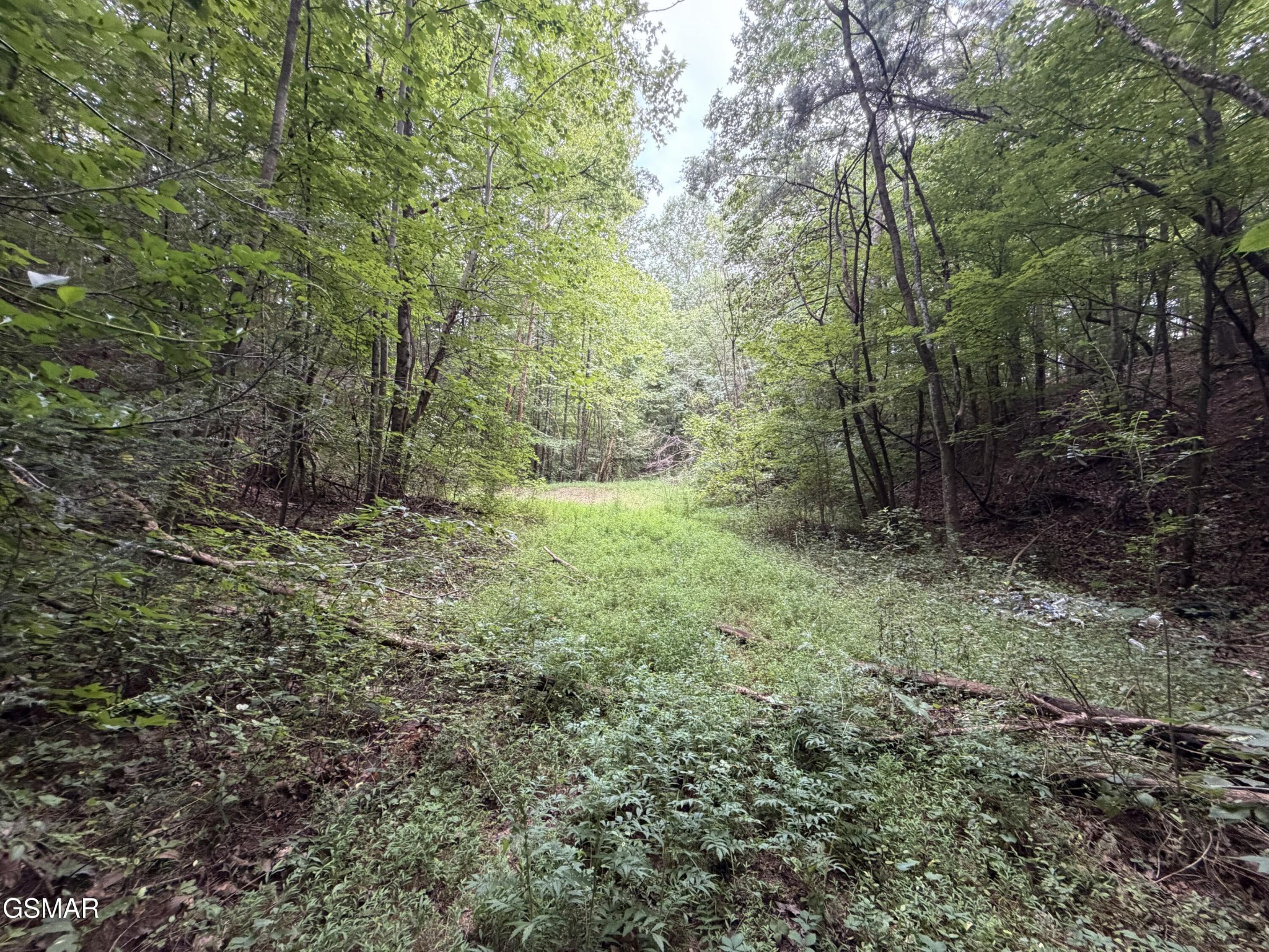 3rd image of 15 Forge Hideaway Road, Pigeon Forge, TN 37863 | MLS# 3500974
