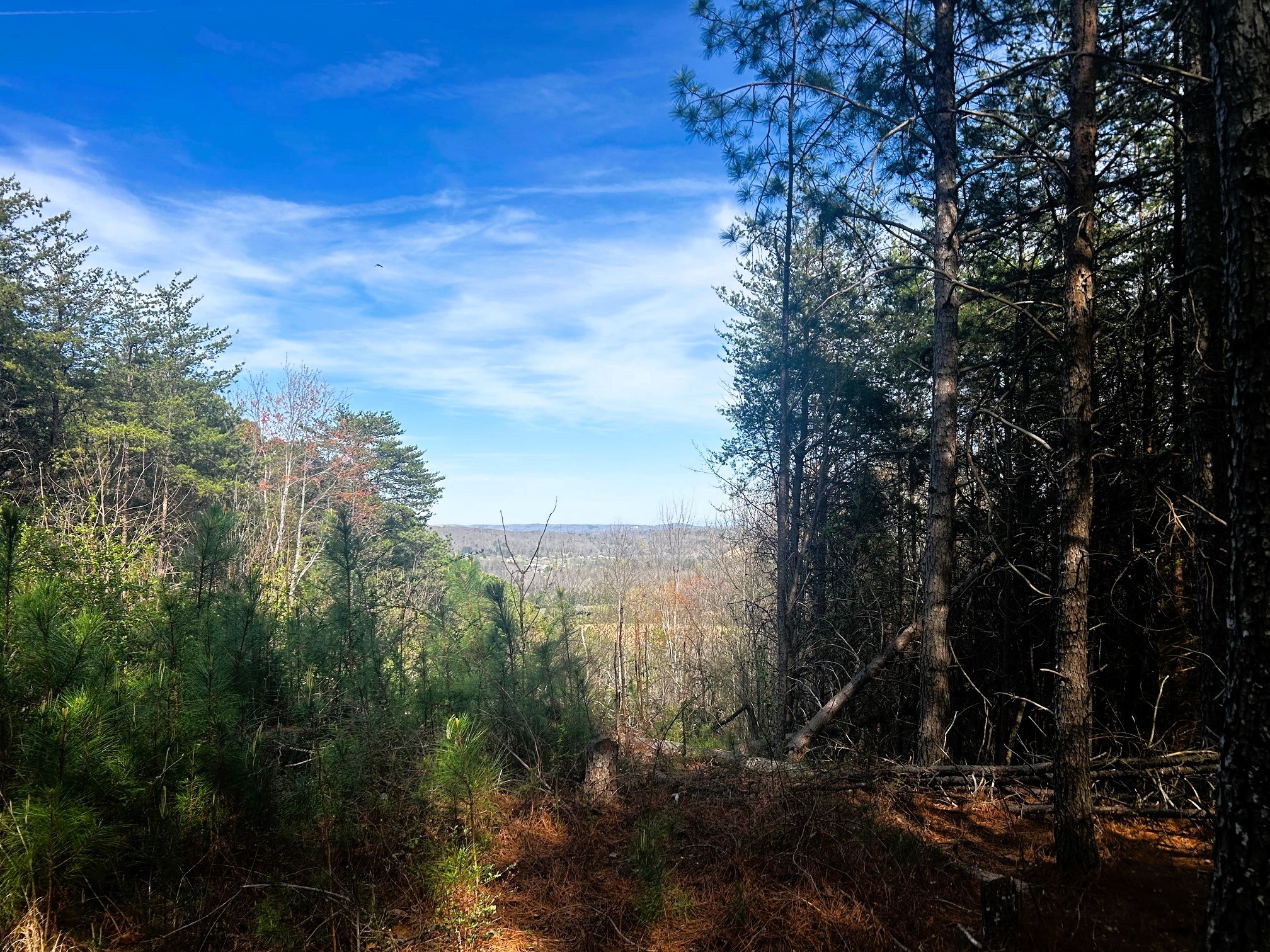 2nd image of 0 Owl Hollow Road Sw, Mc Donald, TN 37353 | MLS# 3501357