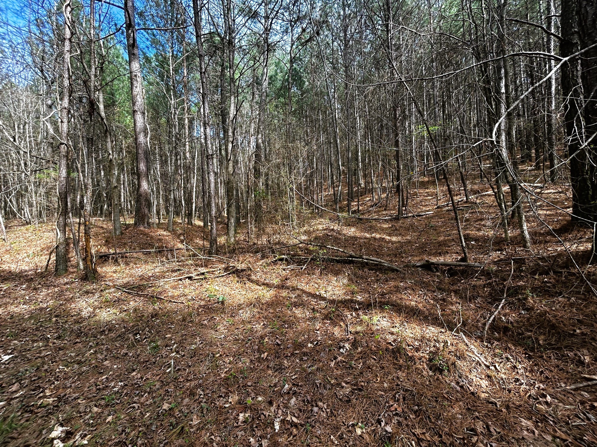 22nd image of 0 Owl Hollow Road Sw, Mc Donald, TN 37353 | MLS# 3501357