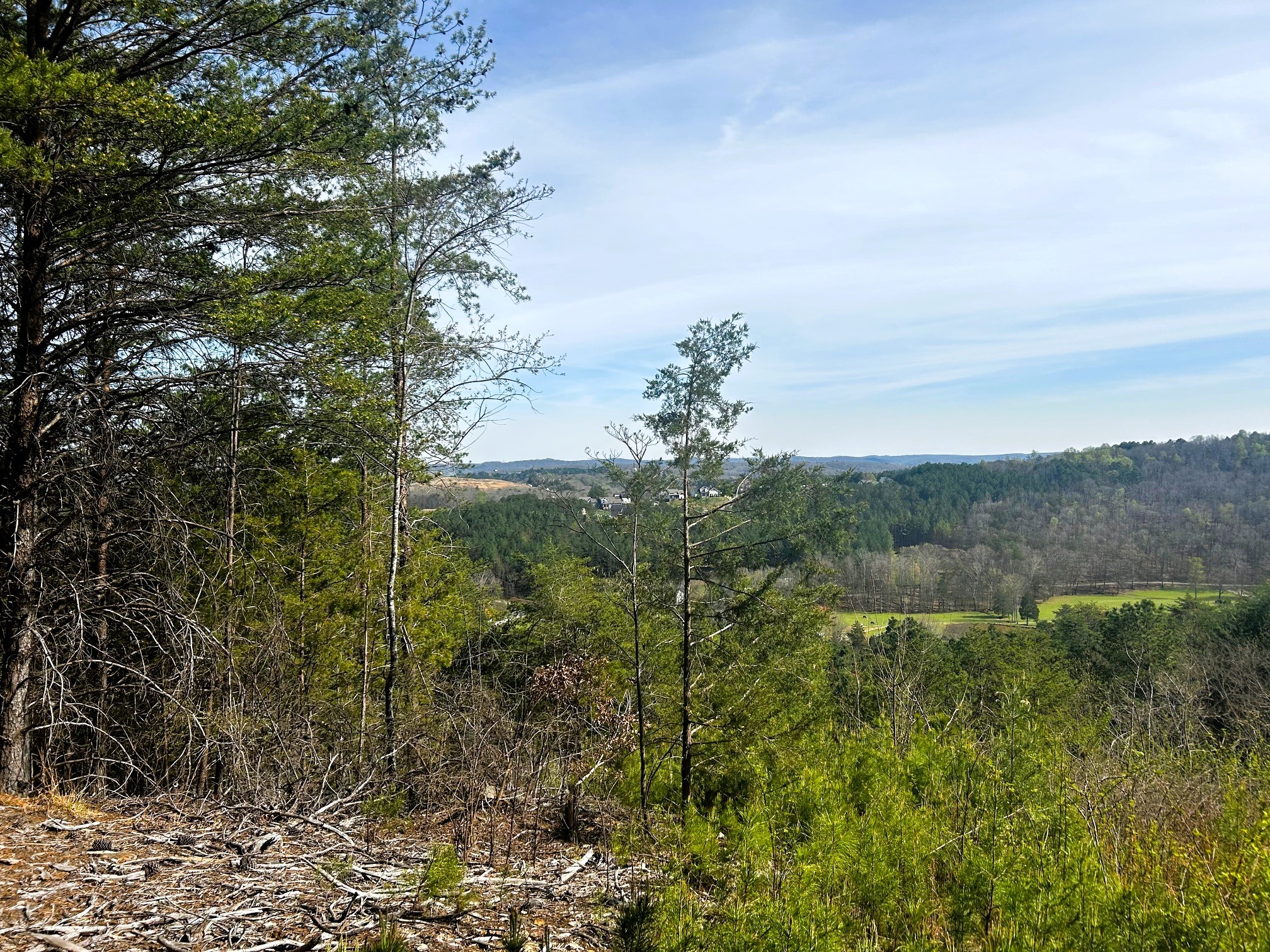 4th image of 0 Owl Hollow Road Sw, Mc Donald, TN 37353 | MLS# 3501357