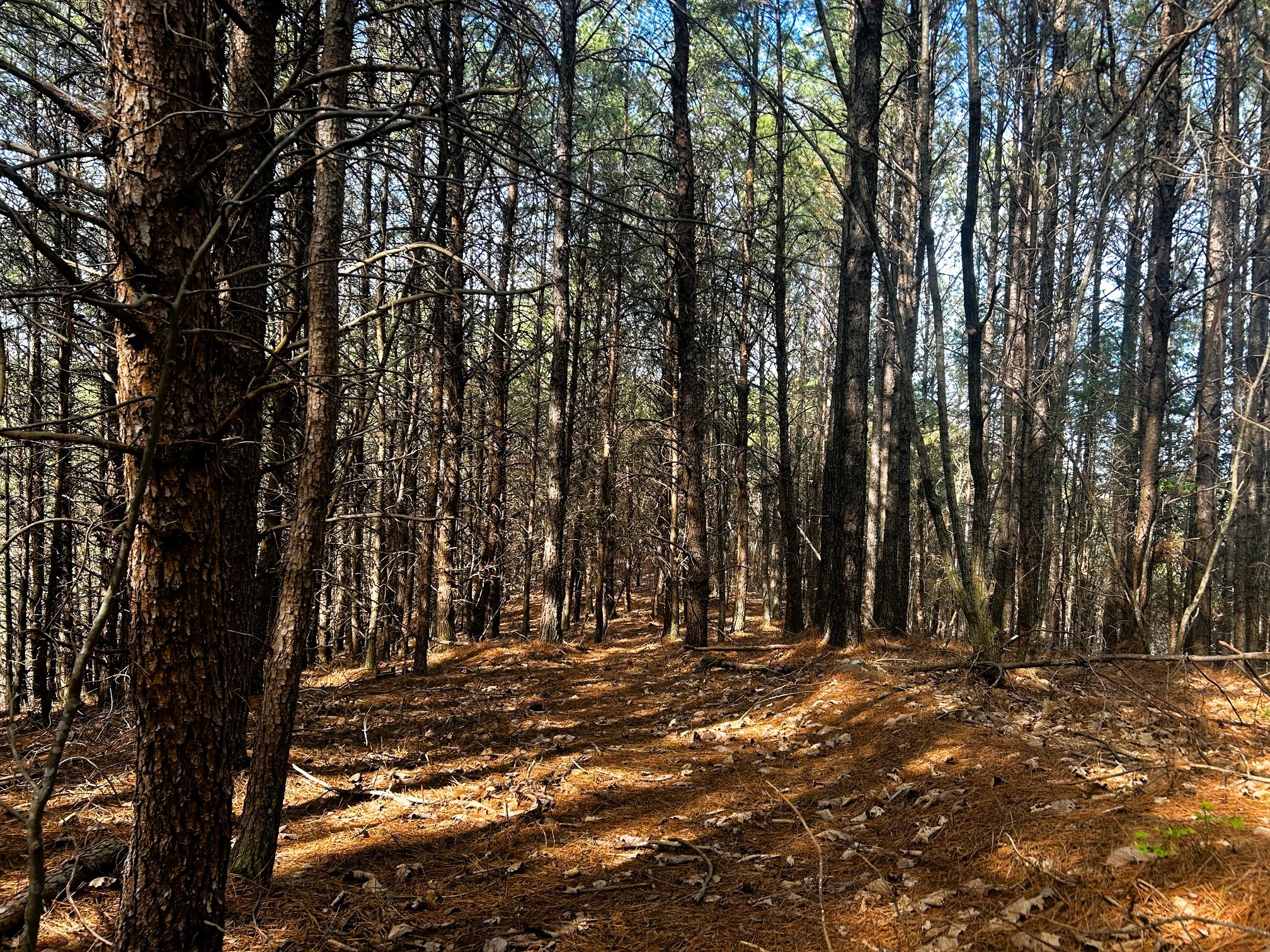 5th image of 0 Owl Hollow Road Sw, Mc Donald, TN 37353 | MLS# 3501357