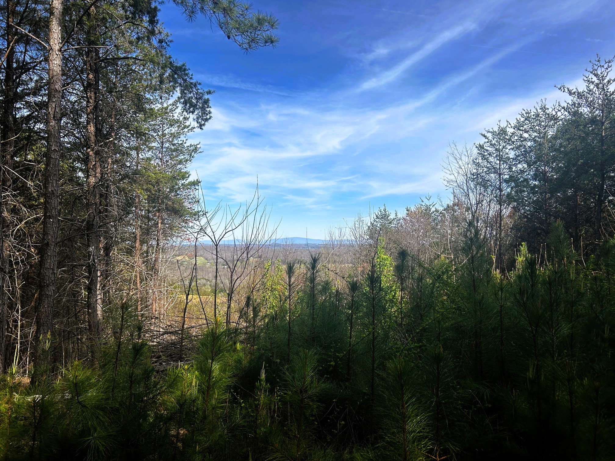 3rd image of 0 Owl Hollow Road Sw, Mc Donald, TN 37353 | MLS# 3501357