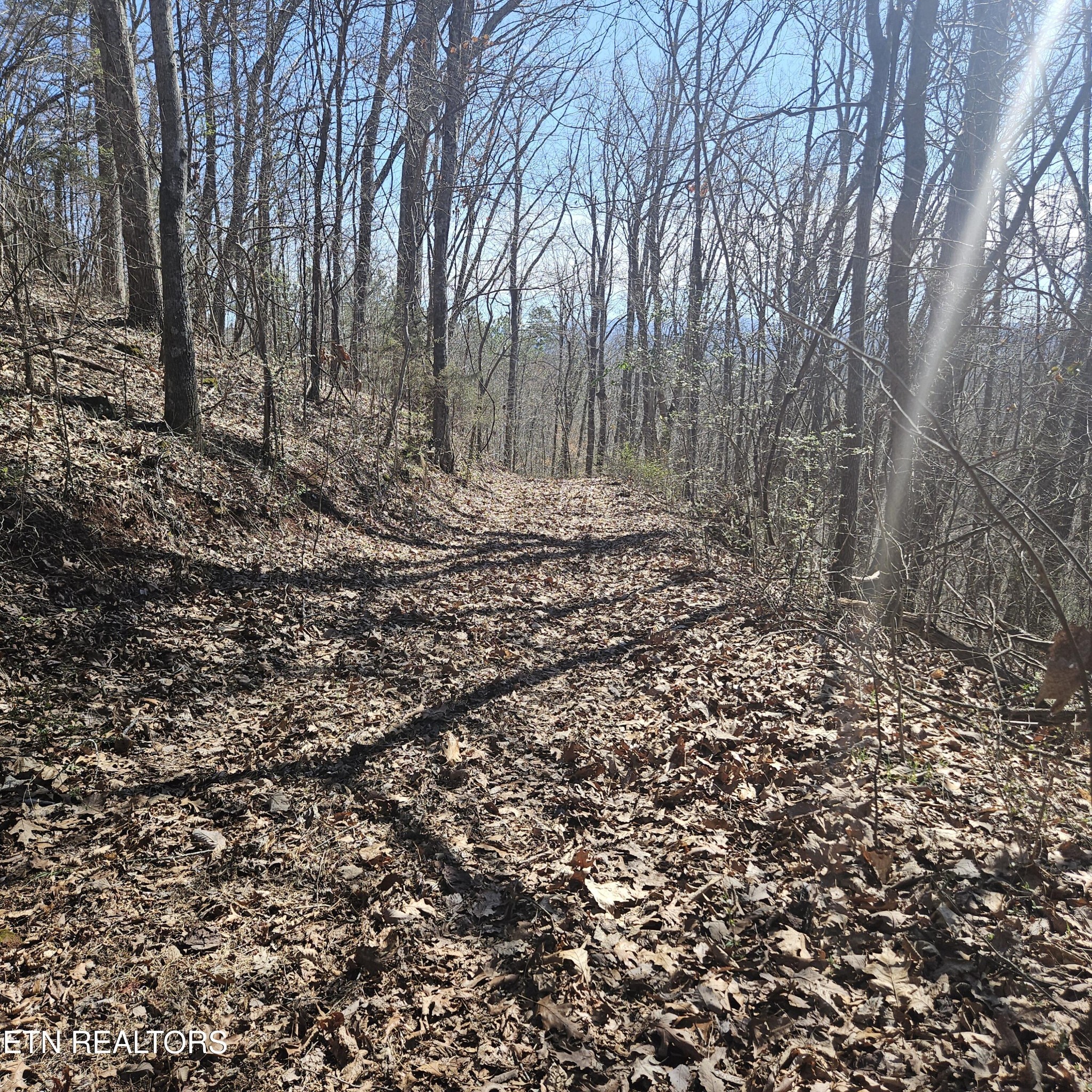 5th image of 0 Lick Creek Rd, Tellico Plains, TN 37385 | MLS# 3510759